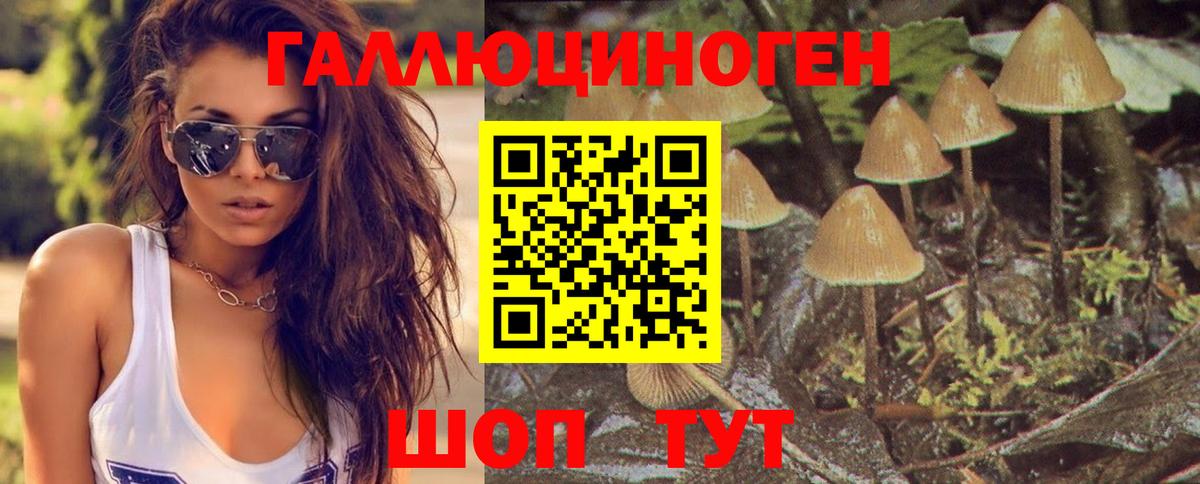 Лыткарино  Псилоцибиновые грибы Magic Shrooms  Галлюциногенные грибы мицелий  Вход с VPN 